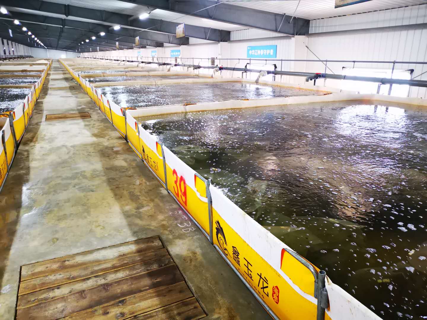 Different Types of Fish Ponds for Fish Farming in Aquaculture